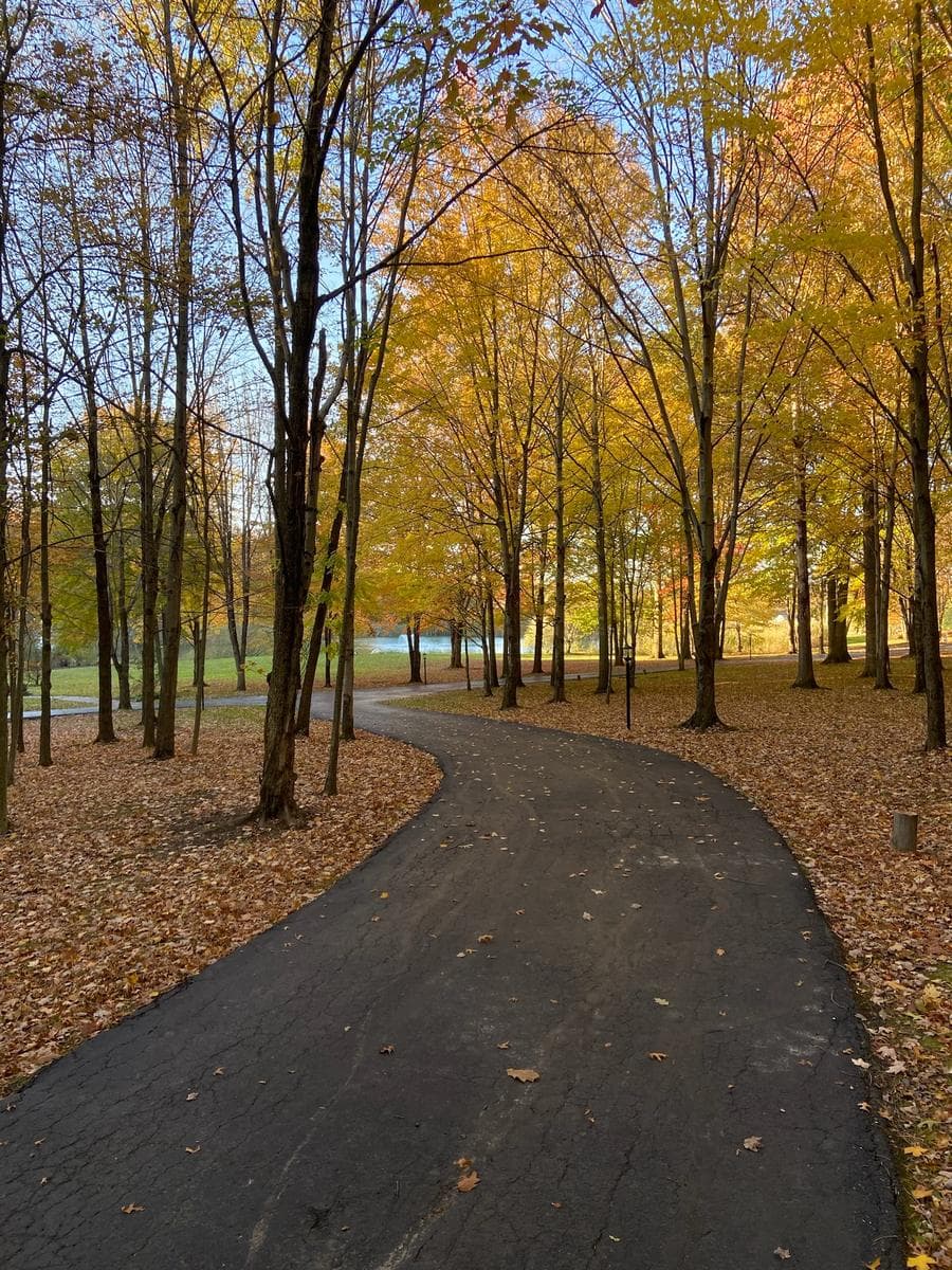 The wooded drive at Trilogy in autumn
